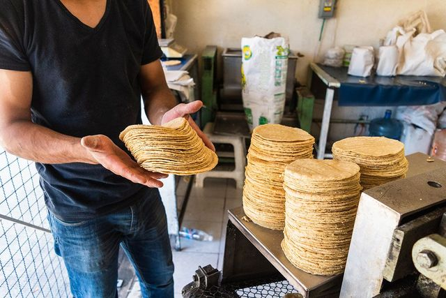 Mamá regia triunfa con negocio de tortillas de harina y revela sus sorprendentes ganancias